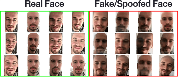 Face Liveness Detection showcase